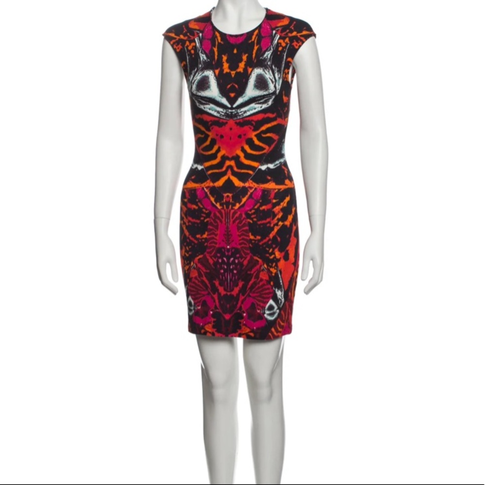 Alexander McQueen dress
